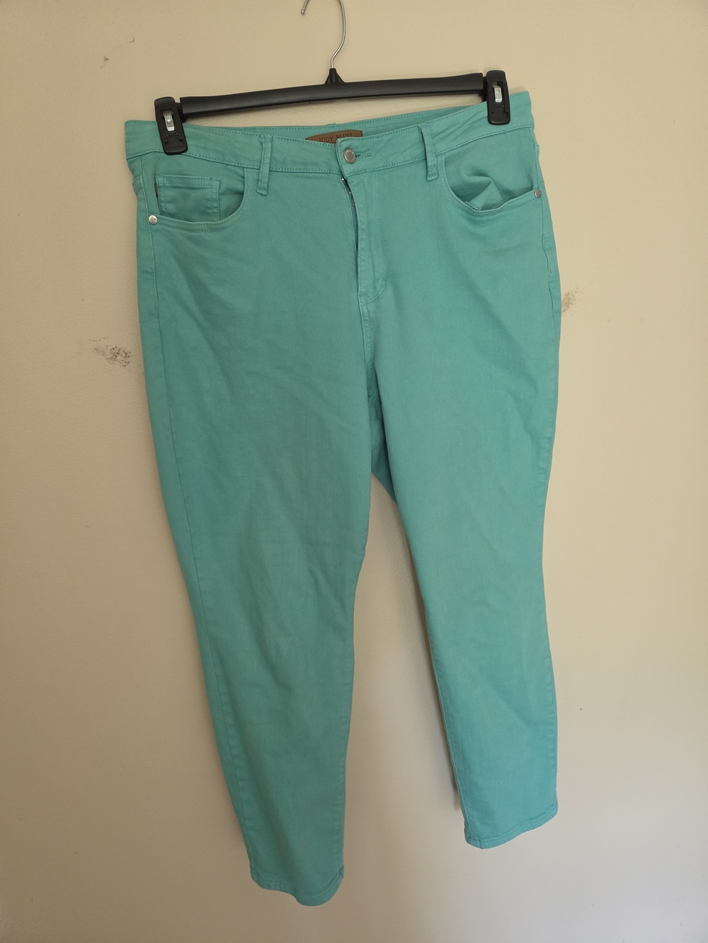 Judy Blue Turquoise Skinny Jeans